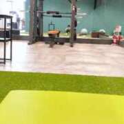 ヒメ日記 2026/03/11 13:51 投稿 あきほ 丸妻 新横浜店