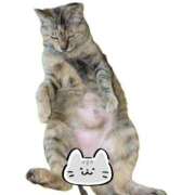 ヒメ日記 2026/08/14 00:15 投稿 ゆいな ロイヤルフラッシュ