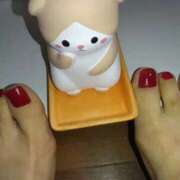 ヒメ日記 2026/02/05 13:55 投稿 つき 奥さまさくら京橋店