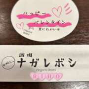 ヒメ日記 2026/02/13 21:55 投稿 りほ 奥鉄オクテツ東京店（デリヘル市場）