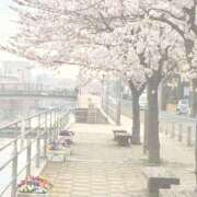 ヒメ日記 2026/03/25 08:40 投稿 りほ 奥鉄オクテツ東京店（デリヘル市場）