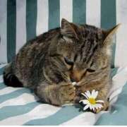 ヒメ日記 2026/02/10 10:14 投稿 新人・つばき 人妻花かんざし