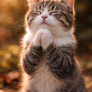 ヒメ日記 2026/04/01 18:43 投稿 つばき 人妻花かんざし