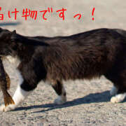 ヒメ日記 2026/04/21 12:17 投稿 つばき 人妻花かんざし