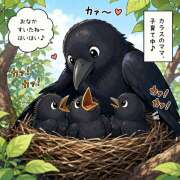 ヒメ日記 2026/07/04 09:58 投稿 つばき 人妻花かんざし