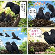ヒメ日記 2026/07/28 10:16 投稿 つばき 人妻花かんざし