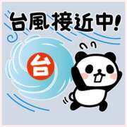 ヒメ日記 2026/09/20 14:46 投稿 つばき 人妻花かんざし