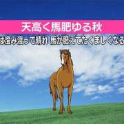 ヒメ日記 2026/10/09 09:57 投稿 つばき 人妻花かんざし