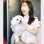 ヒメ日記 2026/04/03 13:32 投稿 東堂 清香 大阪貴楼館