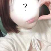 ヒメ日記 2026/04/13 09:51 投稿 ふな My Essentials