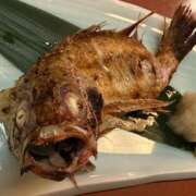 よな 土曜日 ハピネス東京 吉原店