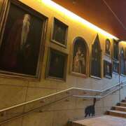 ヒメ日記 2026/03/04 01:36 投稿 よな ハピネス東京 吉原店