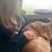 ヒメ日記 2026/03/07 18:02 投稿 れむ りんくう泉佐野ちゃんこ