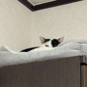 ヒメ日記 2026/03/08 03:32 投稿 れむ りんくう泉佐野ちゃんこ