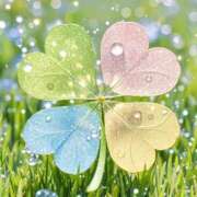 ヒメ日記 2026/03/31 16:02 投稿 れむ りんくう泉佐野ちゃんこ