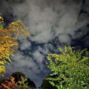 ヒメ日記 2026/04/02 17:32 投稿 れむ りんくう泉佐野ちゃんこ