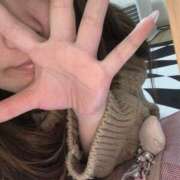 ヒメ日記 2026/03/13 16:02 投稿 のあ りんくう泉佐野ちゃんこ