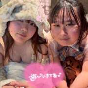 ヒメ日記 2026/04/01 00:22 投稿 のあ りんくう泉佐野ちゃんこ