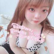 ヒメ日記 2026/05/14 14:12 投稿 のあ りんくう泉佐野ちゃんこ