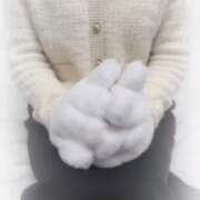 ヒメ日記 2026/02/20 08:39 投稿 つばき パンドラ(上野)