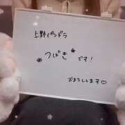 ヒメ日記 2026/03/17 20:09 投稿 つばき パンドラ(上野)