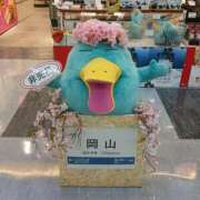 つばき ✈️旅行✈️ パンドラ(上野)