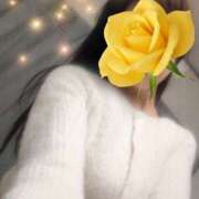 ヒメ日記 2026/02/09 08:24 投稿 新人・めい 人妻花かんざし