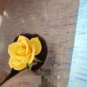 ヒメ日記 2026/03/19 10:31 投稿 めい 人妻花かんざし