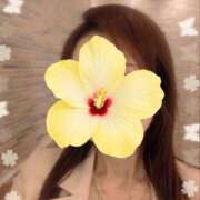 ヒメ日記 2026/04/09 13:17 投稿 めい 人妻花かんざし