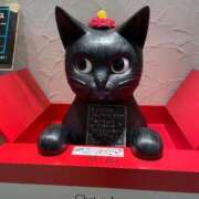 ヒメ日記 2026/02/03 11:59 投稿 みるく 妻天 梅田店