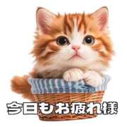 ヒメ日記 2026/03/29 14:23 投稿 みるく 妻天 梅田店