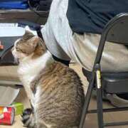 ヒメ日記 2026/03/29 23:38 投稿 みるく 妻天 梅田店