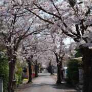 ヒメ日記 2026/03/31 01:50 投稿 みるく 妻天 梅田店