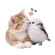 ヒメ日記 2026/04/02 14:57 投稿 みるく 妻天 梅田店