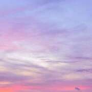 ヒメ日記 2026/03/05 16:02 投稿 もえ Ace(エース)