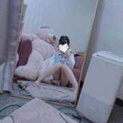 ヒメ日記 2026/02/04 14:12 投稿 すい【SSS級天使の誘惑】 ポニーテール和歌山店