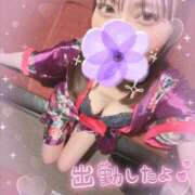 ヒメ日記 2026/02/18 09:15 投稿 すい おいらん遊郭