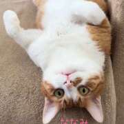 ヒメ日記 2026/02/04 07:22 投稿 ななみ 脱がされたい人妻 さいたま大宮店