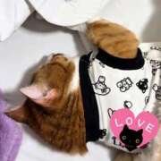 ななみ 10時から 脱がされたい人妻 さいたま大宮店