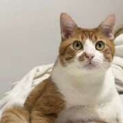 ななみ お礼です📓✒️ 脱がされたい人妻 さいたま大宮店