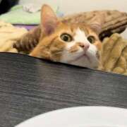 ヒメ日記 2026/02/10 20:28 投稿 ななみ 脱がされたい人妻 さいたま大宮店