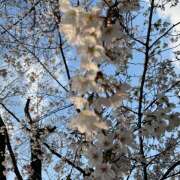 ヒメ日記 2026/03/31 08:06 投稿 ななみ 脱がされたい人妻 さいたま大宮店