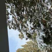 ぼたん おはようございます🥰 月兎（GET）