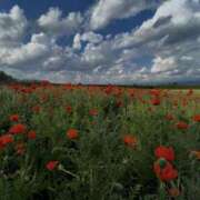 ヒメ日記 2026/03/03 10:53 投稿 るい 品川ミセスアロマ（ユメオト）