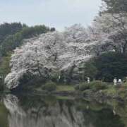 ヒメ日記 2026/03/30 13:02 投稿 るい 品川ミセスアロマ（ユメオト）