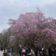 ヒメ日記 2026/04/10 16:15 投稿 るい 品川ミセスアロマ（ユメオト）