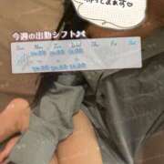 つき 将来はきっと ……🤔 アネックスジャパン