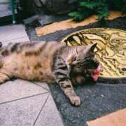 ヒメ日記 2026/02/06 17:31 投稿 きよら【新人割】 素人系イメージSOAP彼女感大宮館