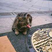 ヒメ日記 2026/03/05 08:15 投稿 きよら【新人割】 素人系イメージSOAP彼女感大宮館