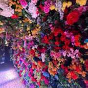 ヒメ日記 2026/03/22 12:18 投稿 きよら【新人割】 素人系イメージSOAP彼女感大宮館